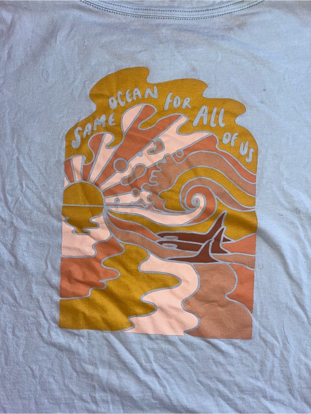Patagonia Light Blue Crop Tee with Yellow Logo